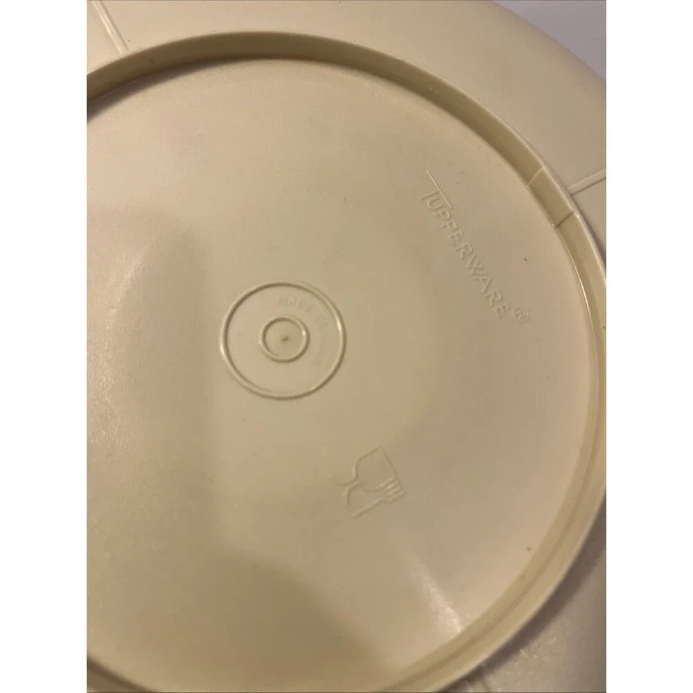 Vintage TUPPERWARE 5 compartment Serving Tray with Lid Tan